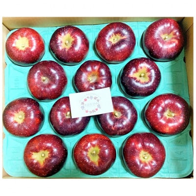 【2026年産】りんご 秋映 約10kg[54040804]