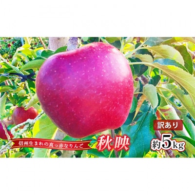 【2026年産】訳あり りんご 秋映 約5kg[54040805]