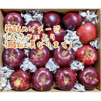 【2026年産】訳あり りんご 秋映 約5kg[54040805]