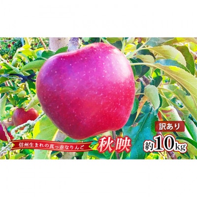 【2026年産】訳あり りんご 秋映 約10kg[54040806]