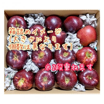 【2026年産】訳あり りんご 秋映 約10kg[54040806]