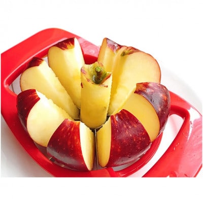 【2026年産】訳あり りんご 秋映 約10kg[54040806]