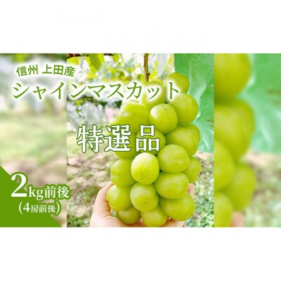 【2026年産】信州上田産 特選 シャインマスカット 2kg前後 4房前後[54040810]
