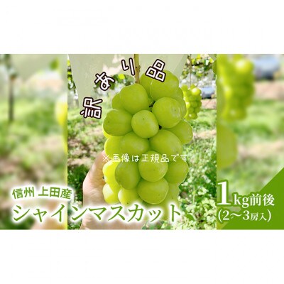 【2026年産】信州上田産 訳あり シャインマスカット 1kg前後 2～3房[54040811]