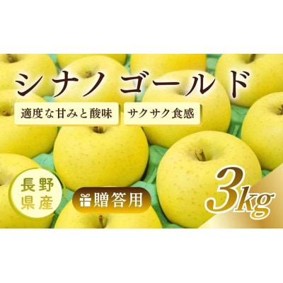 りんご シナノゴールド 3kg 贈答用 信州 長野県 上田市[54041567]