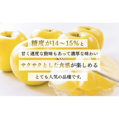 りんご シナノゴールド 5kg 贈答用 信州 長野県 上田市[54041568]