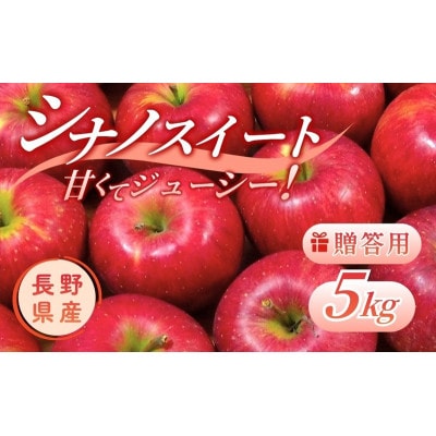 りんご シナノスイート 5kg 贈答用 信州 長野県 上田市[54041570]