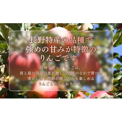 りんご シナノスイート 5kg 贈答用 信州 長野県 上田市[54041570]