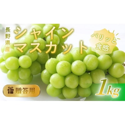 シャインマスカット 1kg 贈答用 信州 長野県 上田市[54041571]