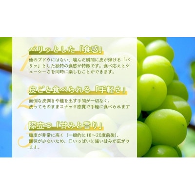 シャインマスカット 1kg 贈答用 信州 長野県 上田市[54041571]