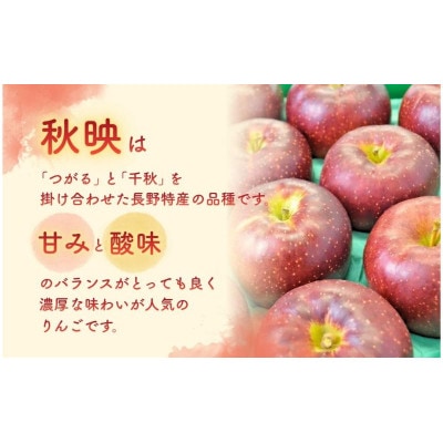 りんご 秋映(あきばえ) 3kg 贈答用 信州[54041574]