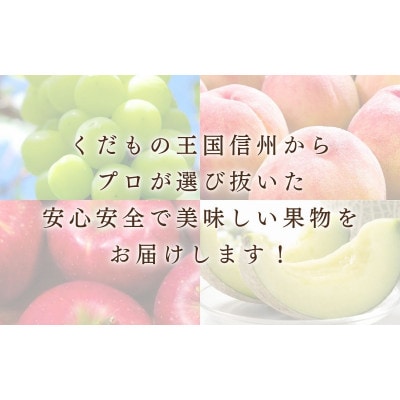 りんご 秋映(あきばえ) 3kg 贈答用 信州[54041574]