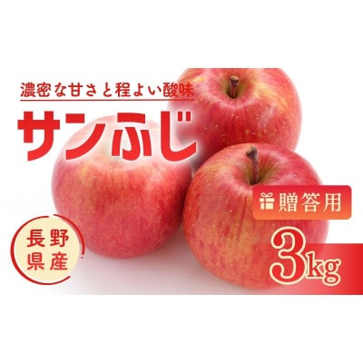 りんご サンふじ 3kg 贈答用 信州 長野県 上田市[54041565]