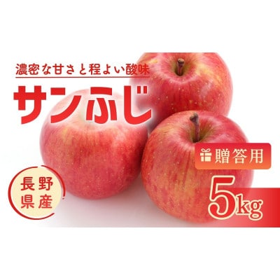 りんご サンふじ 5kg 贈答用 信州 長野県 上田市[54041566]