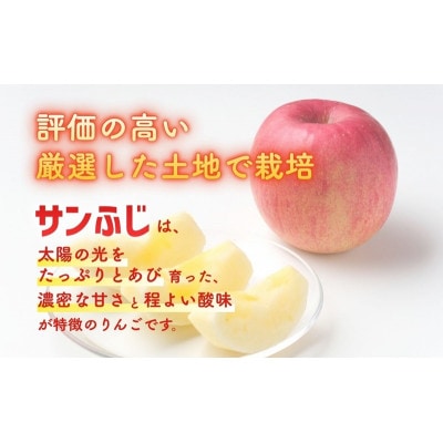りんご サンふじ 5kg 贈答用 信州 長野県 上田市[54041566]