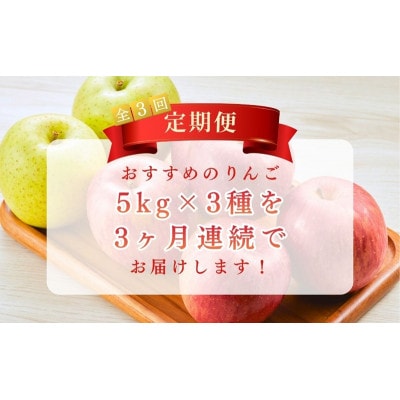 【発送月固定定期便】りんご5kgスイート ゴールド サンふじ 贈答用 信州[54041573]全3回