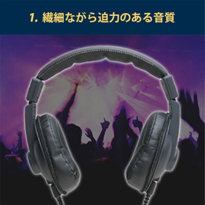 オンラインライブ視聴用ヘッドホンSOUND WARRIORSW-HP10LIVE[54040192]