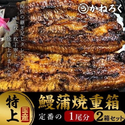 鰻蒲焼重箱「特上」2個セット 山椒・漬物付き[54040782]