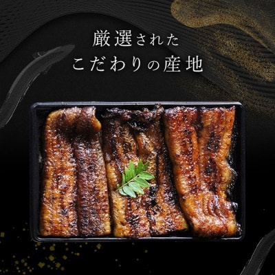 鰻蒲焼重箱「上」2個セット 山椒・漬物付き[54040785]