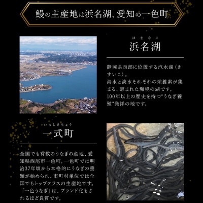 鰻蒲焼重箱「上」4個セット 山椒・漬物付き [54040786]