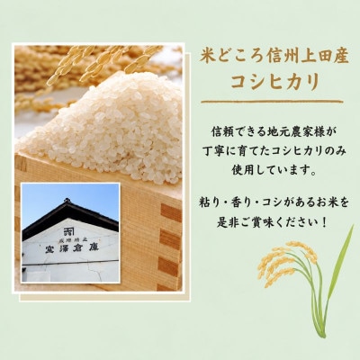 【毎月定期便】厳選 コシヒカリ 仁米 5kg 精米[54040789]全6回
