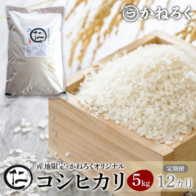 【毎月定期便】厳選 コシヒカリ 仁米 5kg 精米[54040790]全12回