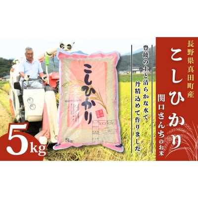 コシヒカリ 関口さんちのお米 精米 5kg[54040933]