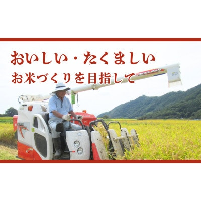 コシヒカリ 関口さんちのお米 精米 5kg[54040933]