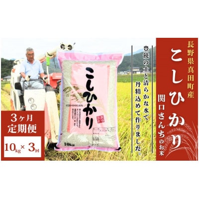 【毎月定期便】コシヒカリ 関口さんちのお米 10kg[54040756]全3回