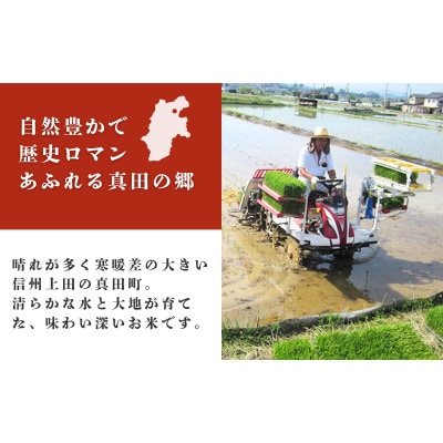 【毎月定期便】コシヒカリ 関口さんちのお米 3kg[54040928]全6回