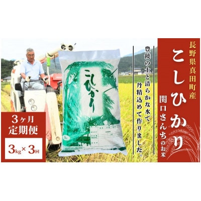 【毎月定期便】コシヒカリ 関口さんちのお米 3kg[54040932]全3回