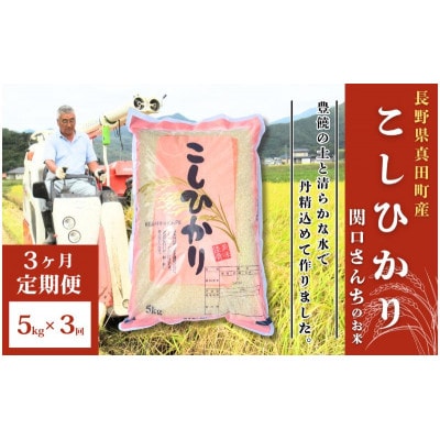 【毎月定期便】コシヒカリ 関口さんちのお米 5kg[54040931]全3回