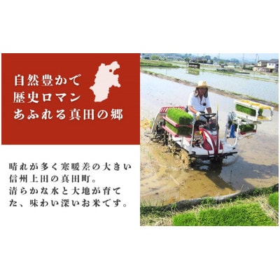 【毎月定期便】コシヒカリ 関口さんちのお米 5kg[54040931]全3回