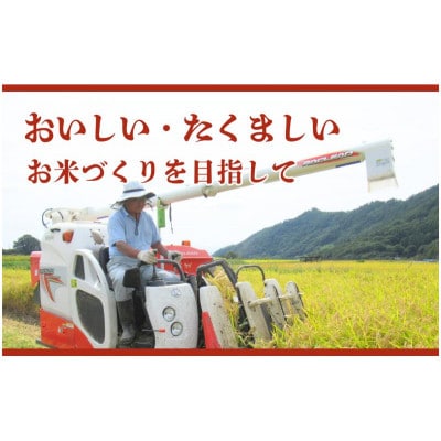【毎月定期便】コシヒカリ 関口さんちのお米 5kg[54040931]全3回