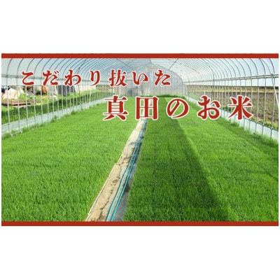 【毎月定期便】コシヒカリ 関口さんちのお米 3kg[54040930]全12回