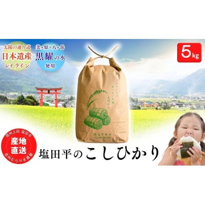 塩田平のコシヒカリ精米5kg[54041694]
