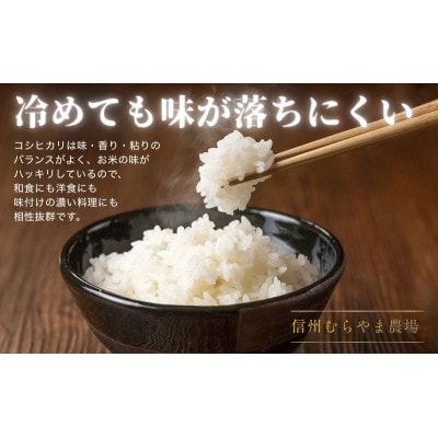 塩田平のコシヒカリ精米5kg[54041694]