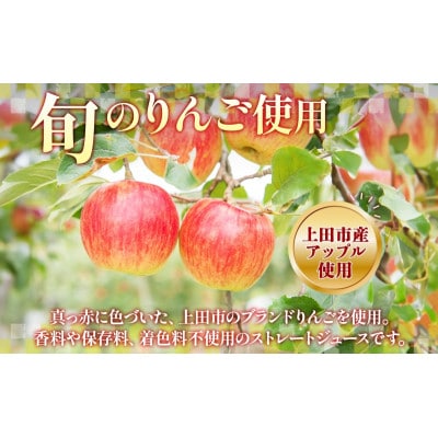 無地熨斗 長野県 真田 RED アップル ジュース 瓶 1000ml 1本[54040977]