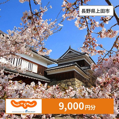【じゃらんふるさと納税クーポン】 長野県上田市でつかえる9,000円 クーポン