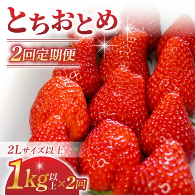 【2回定期便】東御市産いちご「とちおとめ」(1kg以上)