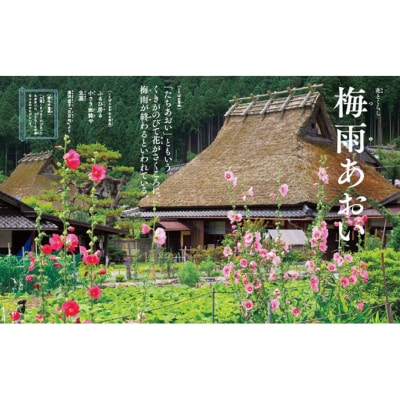 講談社 美しい日本の言葉を学ぶ絵本『日本のことばずかん』セット 図鑑 絵本[55000189]