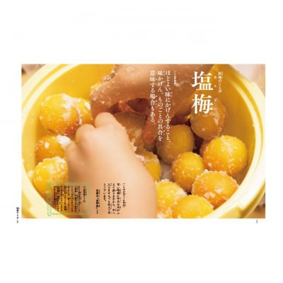 講談社 美しい日本の言葉を学ぶ絵本『日本のことばずかん』セット 図鑑 絵本[55000189]