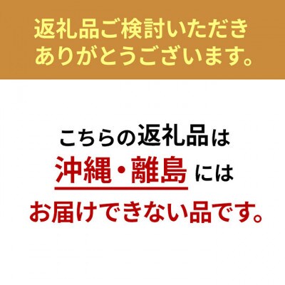 伝統工芸品 籐と和紙のうちわ(2017年東京知事賞受賞作品) 【長方形】[55007007]