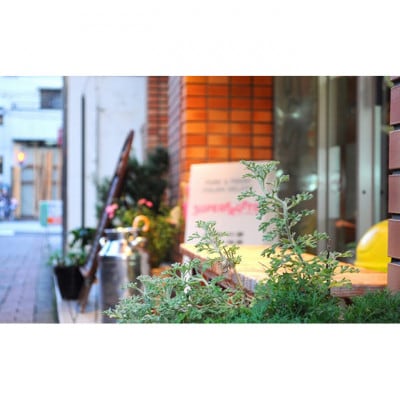 おすすめ旬の果物入り 6種類ジェラートセット[55000185]