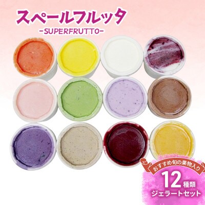 おすすめ旬の果物入り 12種類ジェラートセット[55000186]