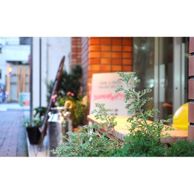 おすすめ旬の果物入り 12種類ジェラートセット[55000186]