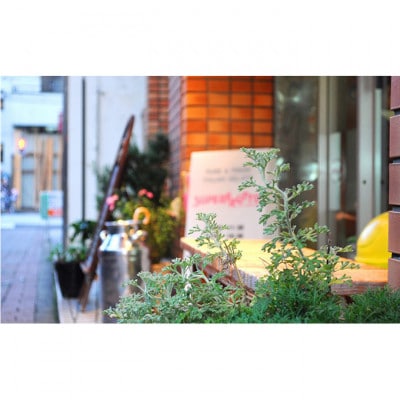 バラのアイスケーキ[55000187]