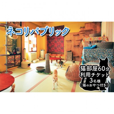 チケット 東京 猫部屋60分利用チケット猫用おやつ付き(3名様) [55000201]
