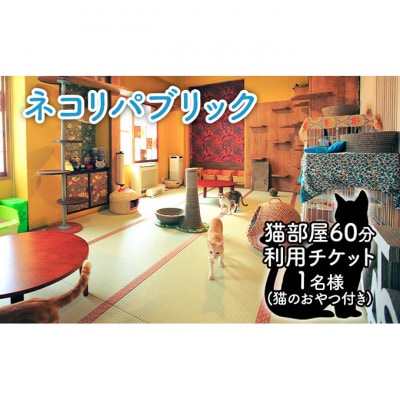 猫部屋60分利用チケット猫用おやつ付き 保護猫カフェ 動物 ふれあい [55000116]