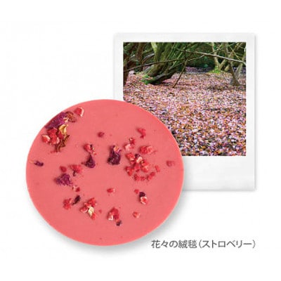 チョコレート 風景のディスク(箱入り6枚セット)[55000259]